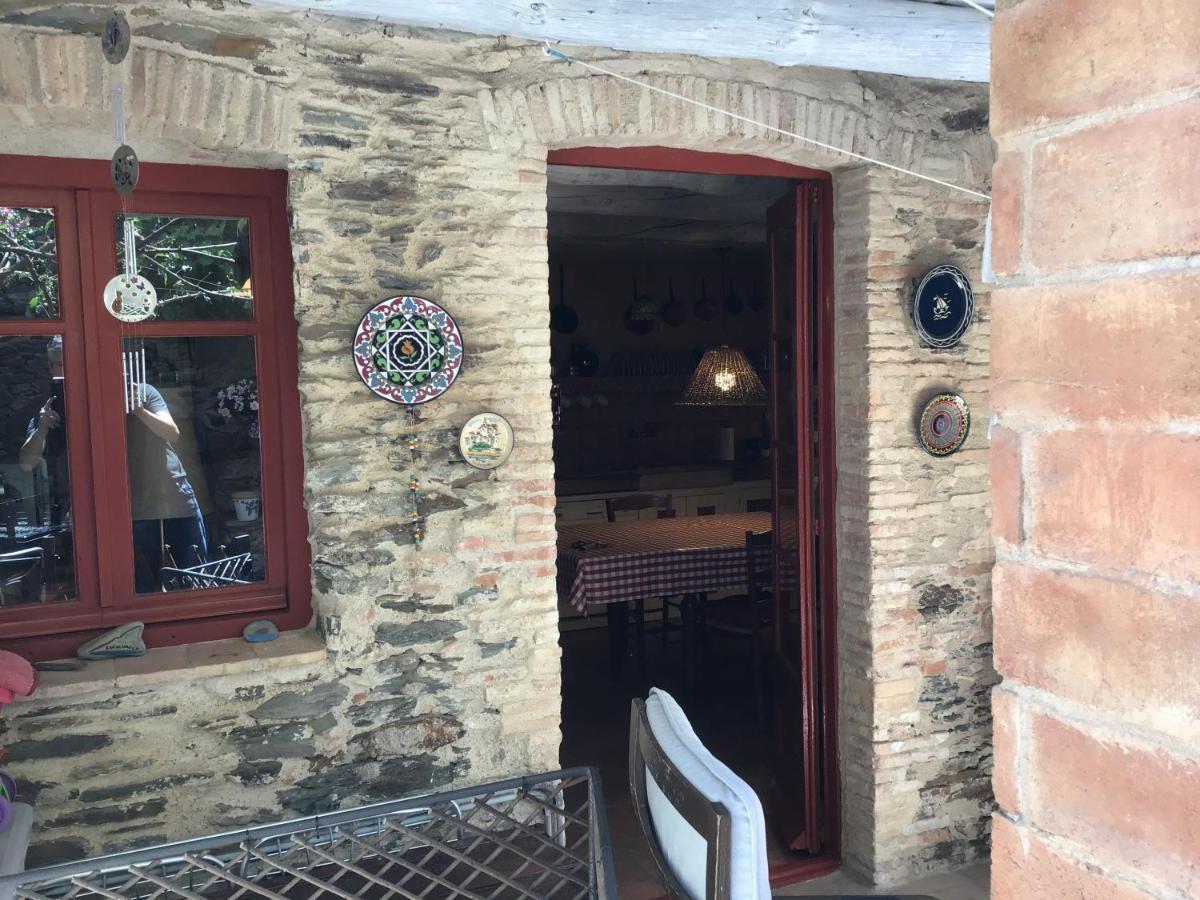 Casa Jordi Villa กาดาเกส ภายนอก รูปภาพ